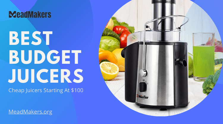 Best Budget Juicers of 2021: Cheap Juicers Starting At $100